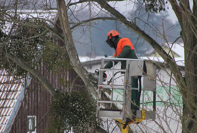 A tree doctor cutting limbs from a tree that has fallen close to a house during a snow storm in Ladue, MO