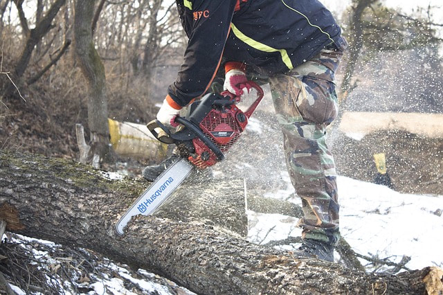 Sawyer chopping up a fallen tree with a large red chainsaw